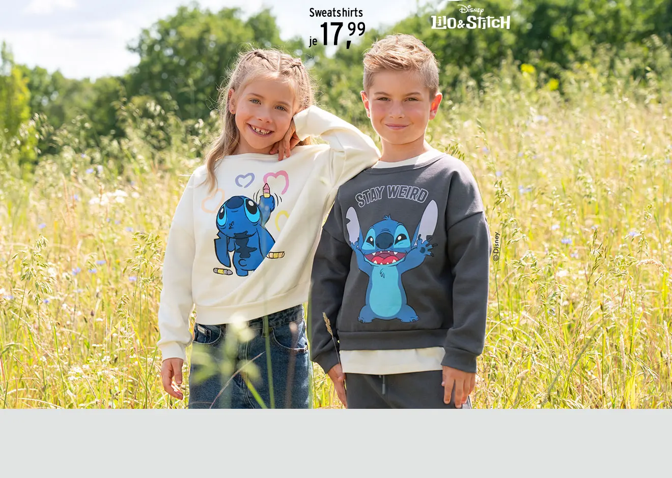 Producten van Ernsting's family