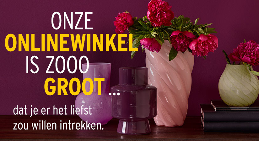 Hoogtepunten uit het leven van Ernsting's familie