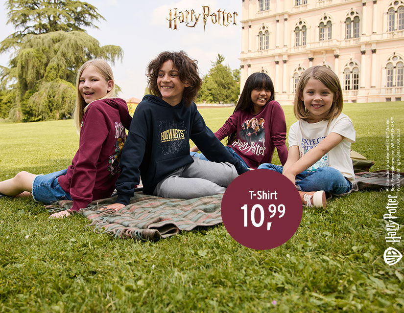 Harry Potter mode en accessoires