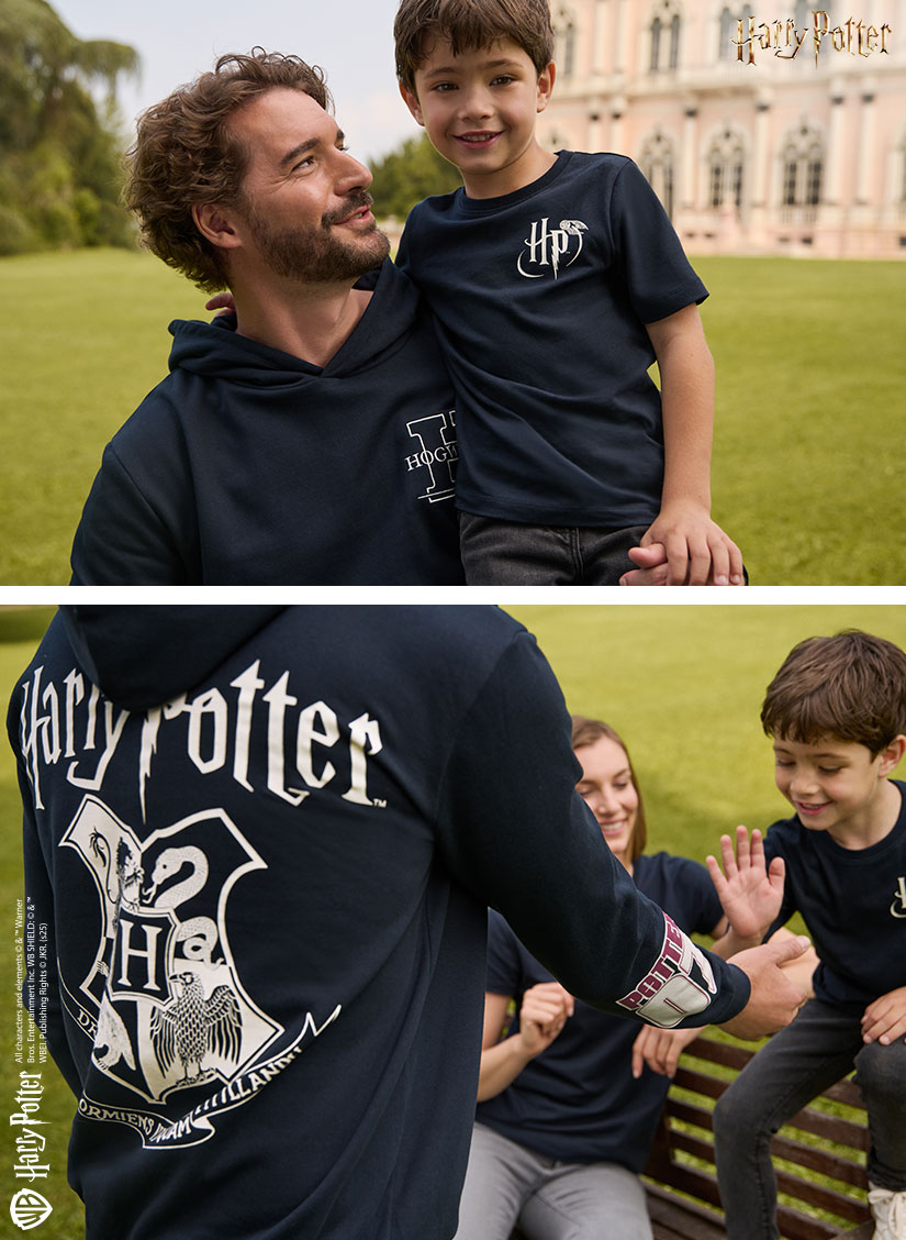 Hoodies van Harry Potter