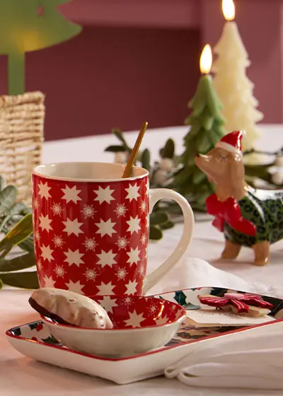 Producten van Ernsting's family