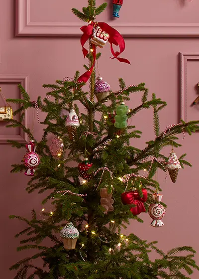 Producten van Ernsting's family