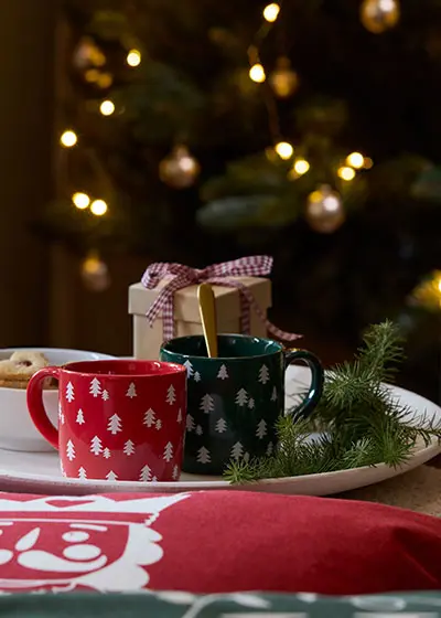 Producten van Ernsting's family