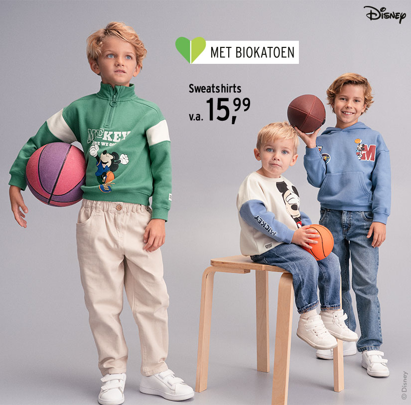 Sweaters voor jongens